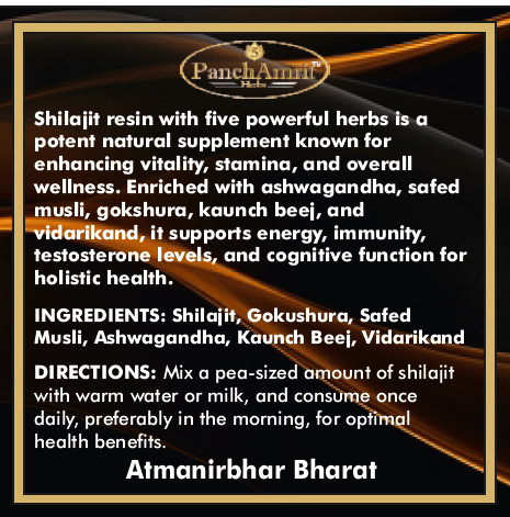 PanchAmrit Himalayan Shilajit Gold Resin – Ayurvedic Strength, Stamina & Power Booster | Infused with 5 Natural Herbs, 20g - PANCHAMRIT HERBS
