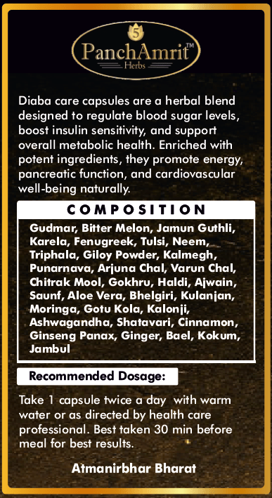 PanchAmrit Premium Diaba Care Capsule – 29 Herbs for Blood Sugar Control, Insulin Sensitivity & Metabolic Health (60 Capsules, 500mg) - PANCHAMRIT HERBS