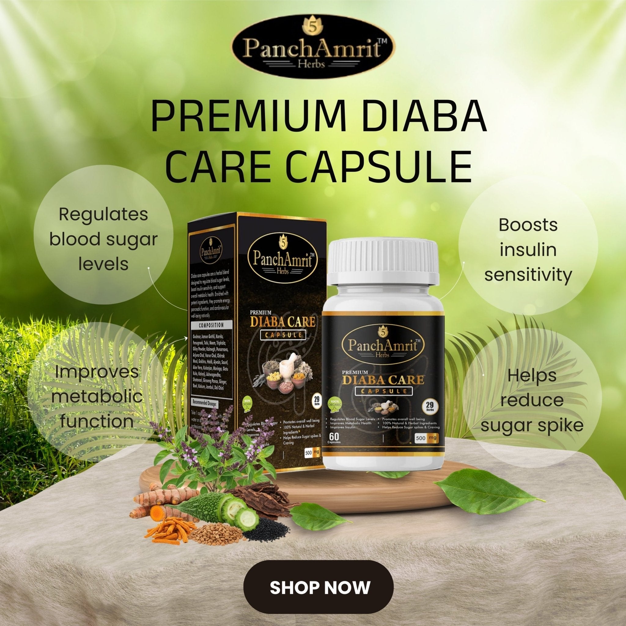 PanchAmrit Premium Diaba Care Capsule – 29 Herbs for Blood Sugar Control, Insulin Sensitivity & Metabolic Health (60 Capsules, 500mg) - PANCHAMRIT HERBS