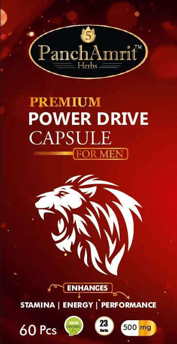 PanchAmrit Premium Power Drive Capsule for Men – Ayurvedic Stamina, Energy & Performance Booster | 21 Herbs, 60 Capsules, 500mg - PANCHAMRIT HERBS