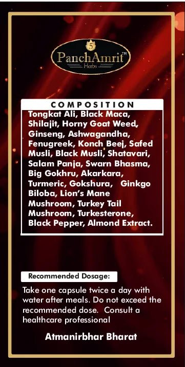 PanchAmrit Premium Power Drive Capsule for Men – Ayurvedic Stamina, Energy & Performance Booster | 21 Herbs, 60 Capsules, 500mg - PANCHAMRIT HERBS